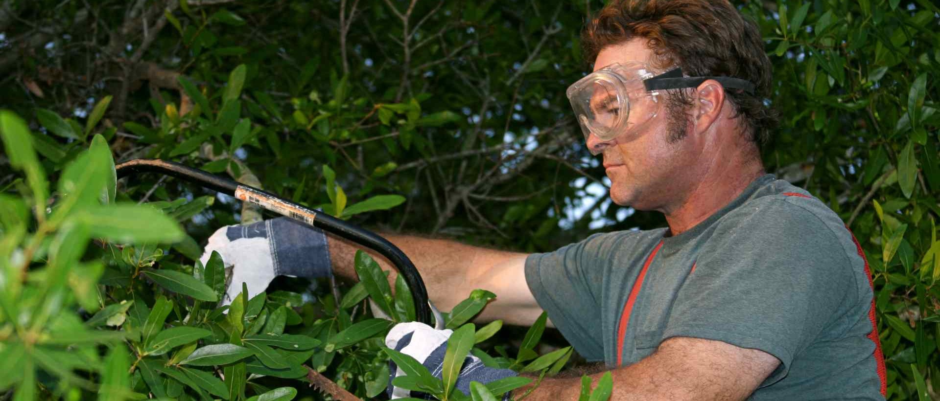 garden clearance SW13